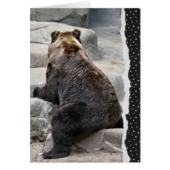 Bear for Get Well Bientôt (Devant)