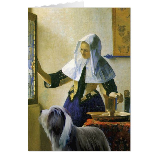 Beardie 10 - Pitcher (Devant)