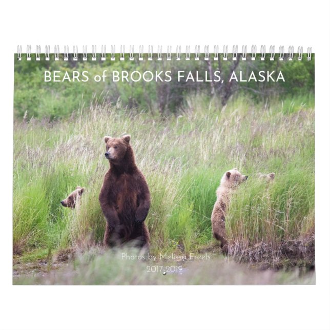 Bears of Brooks Falls - Calendrier 2021 (Protection)