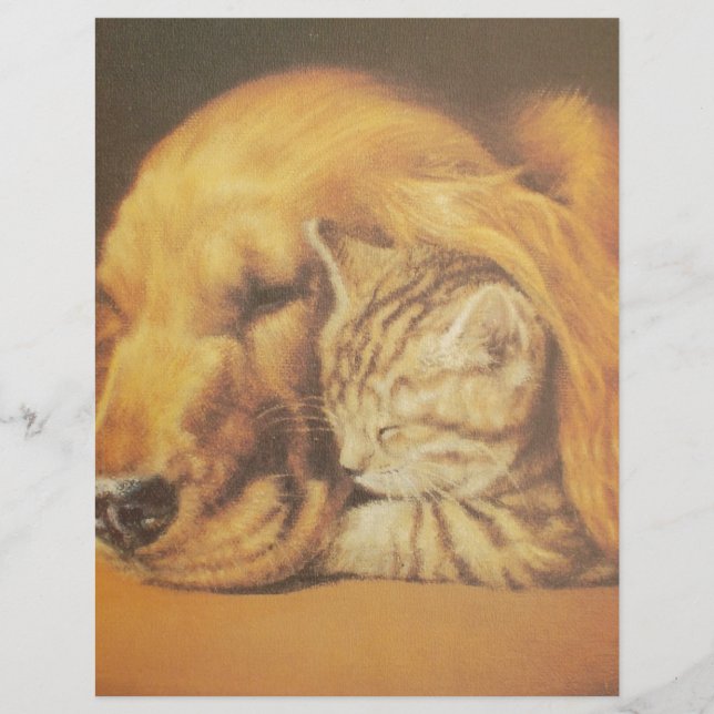Beau art Extraordinaire de chats et de chats de ch (Devant)