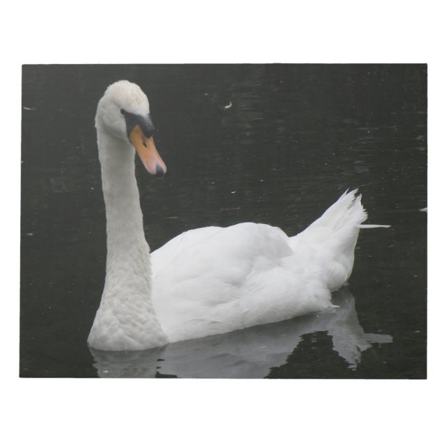 Beau Bloc-notes de cygne blanc (Devant)