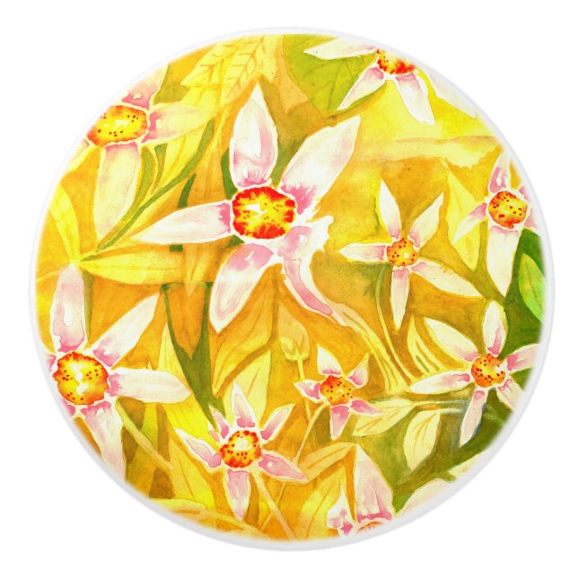 Beau bouton de porte en céramique pour aquarelle (Devant)