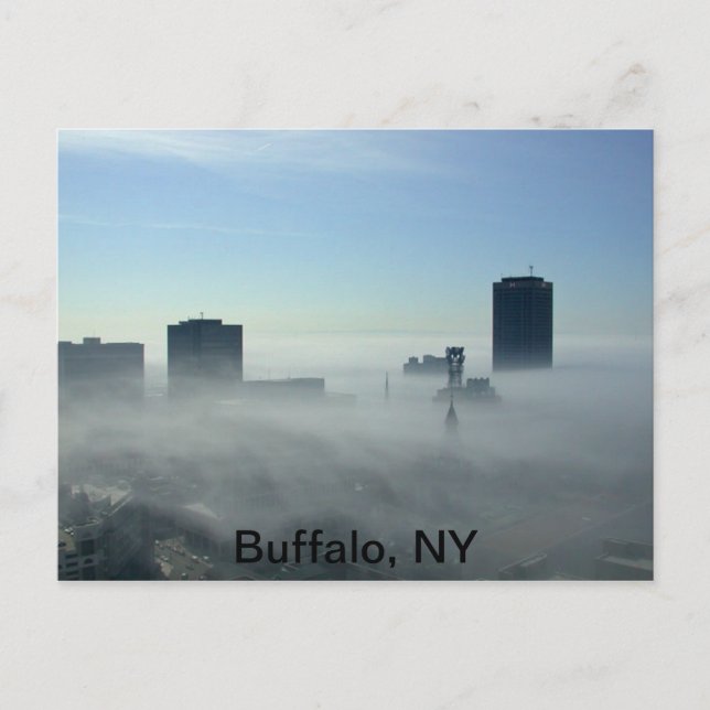Beau Buffalo, carte postale NY (Devant)