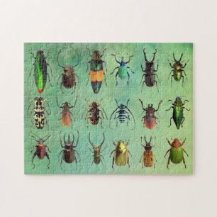 Beau Bugs Beetle Mania Puzzle