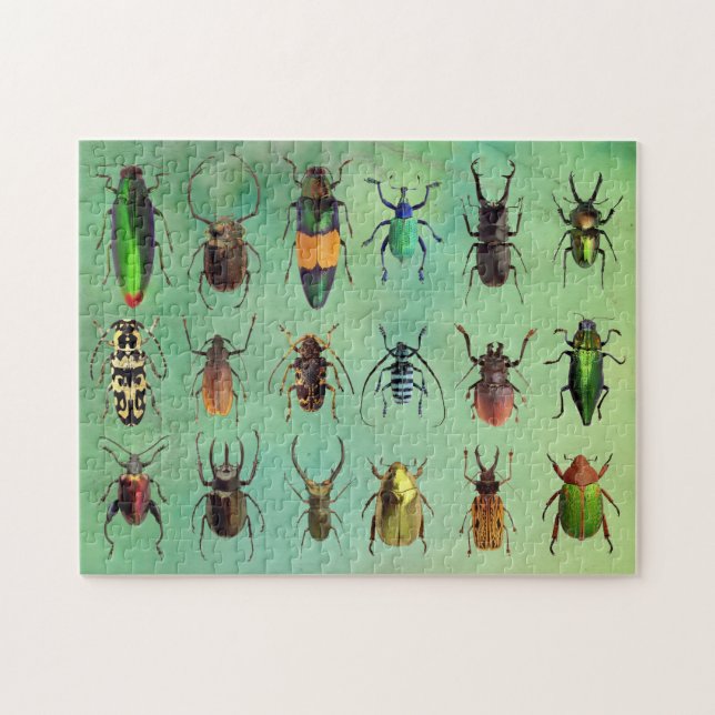 Beau Bugs Beetle Mania Puzzle (Horizontal)
