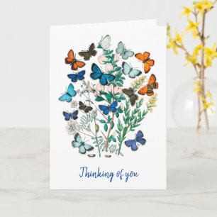 BEAU BUTTERFLIES SYMPATHIE CARTE