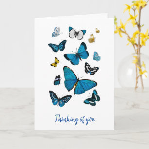 BEAU BUTTERFLIES SYMPATHIE CARTE