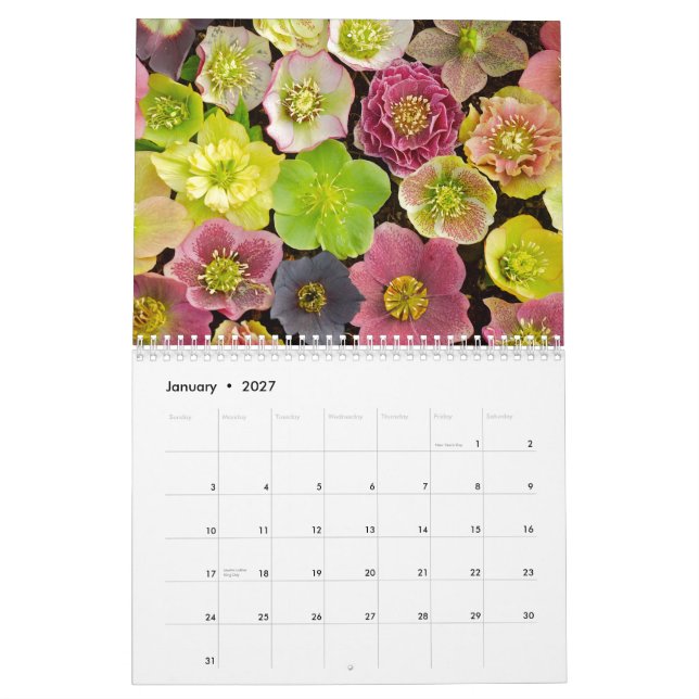 Beau calendrier 2013 de fleurs (Jan 2027)