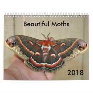 Beau calendrier 2018 de mites