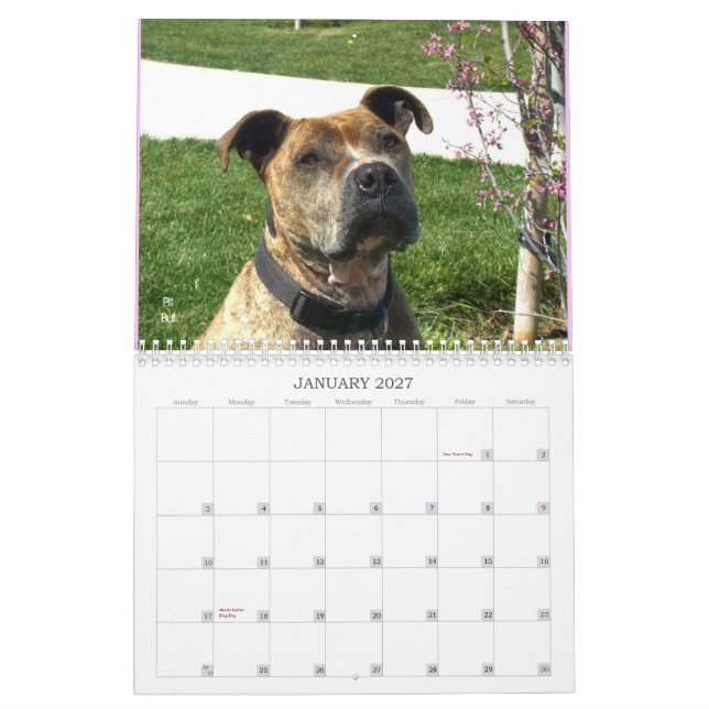 Beau calendrier de chien de Bullys 2012 (Jan 2027)