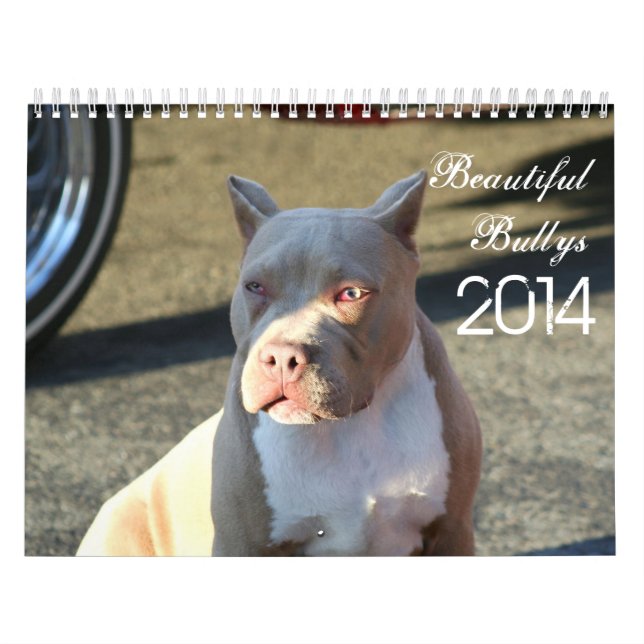 Beau calendrier de chien de Bullys 2014 (Protection)