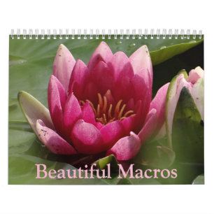 Beau calendrier de macros