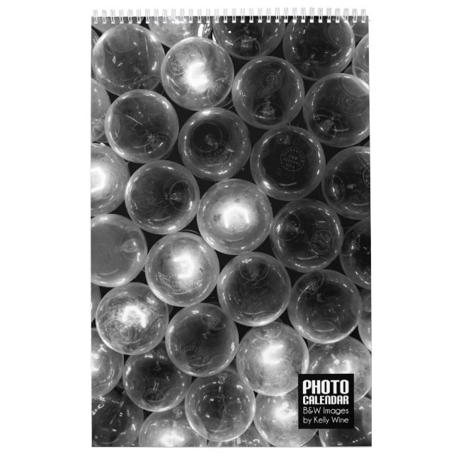 Beau calendrier de photo de B&W - vin de Kelly (Protection)