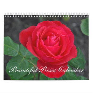 Beau calendrier de roses