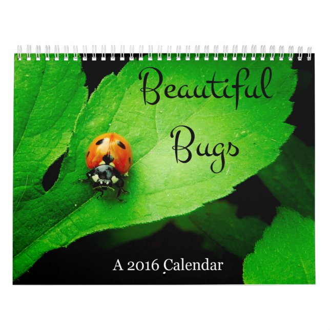 Beau calendrier des insectes 2016 (Protection)