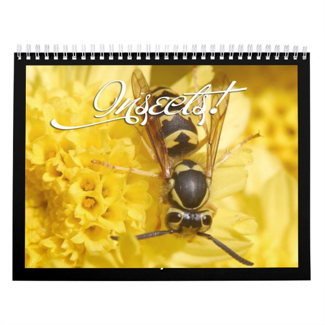 Beau calendrier des insectes 2018 (Protection)