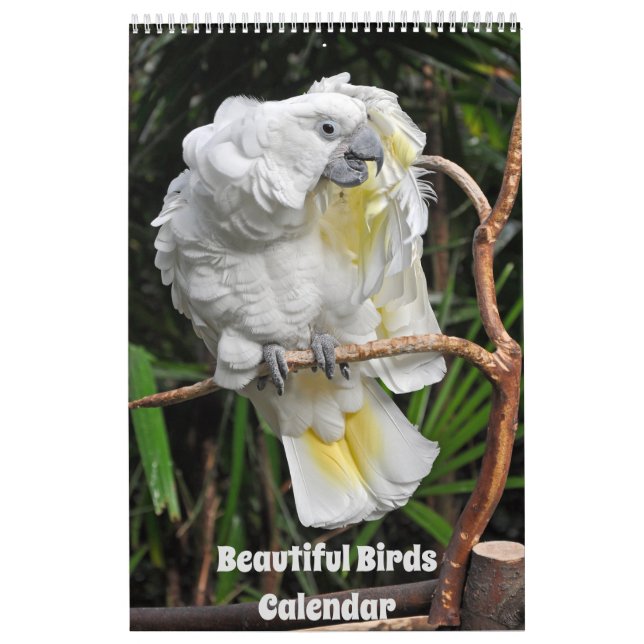 Beau calendrier des oiseaux (Protection)
