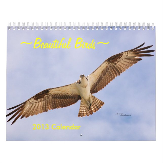 Beau calendrier des oiseaux 2016 (Protection)