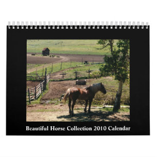 Beau calendrier du cheval 2010