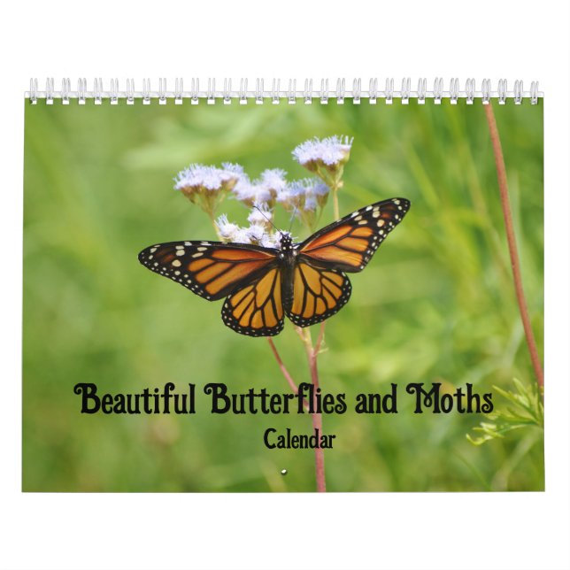 Beau calendrier papillons et papillons de nuit (Protection)
