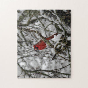 Beau Cardinal Rouge dans Puzzle d'arbre rempli de