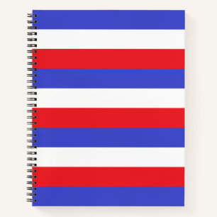 Beau Carnet bleu rouge blanc rayures