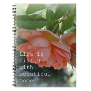 Beau carnet de journal de roses de moments