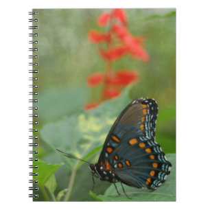 Beau Carnet papillon