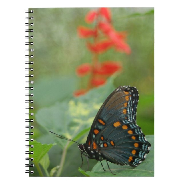 Beau Carnet papillon (Devant)