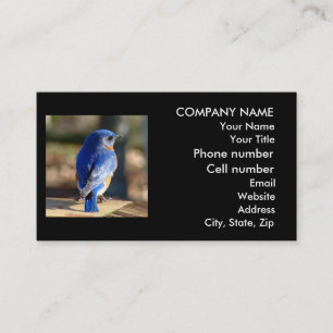 Beau Carte de visite Bluebird
