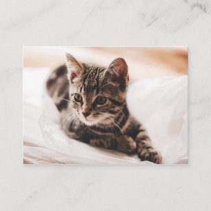 Beau carte de visite de chaton