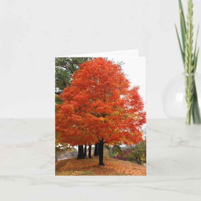 Beau Carte pour notes d'automne (Devant)