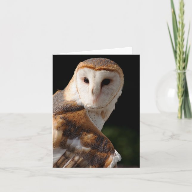 Beau carte pour notes de hibou de grange (Devant)