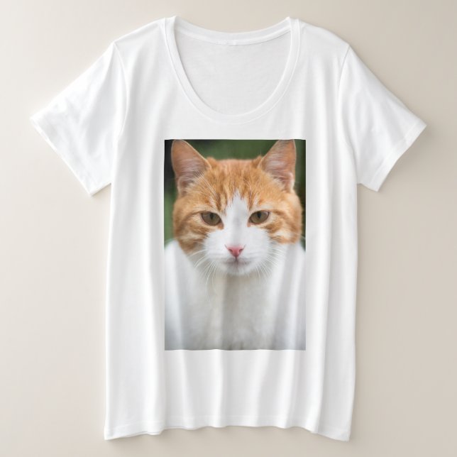Beau chat rouge (Design devant)