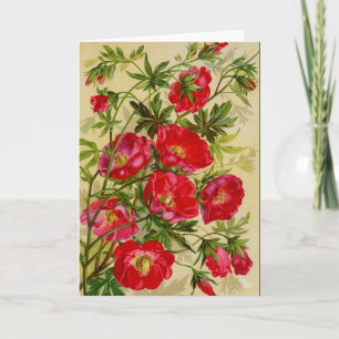 Beau Cherry Red Wild Rose Cartes pour notes