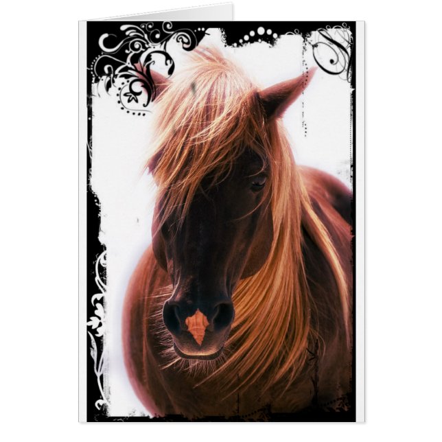 Beau Cheval (Devant)