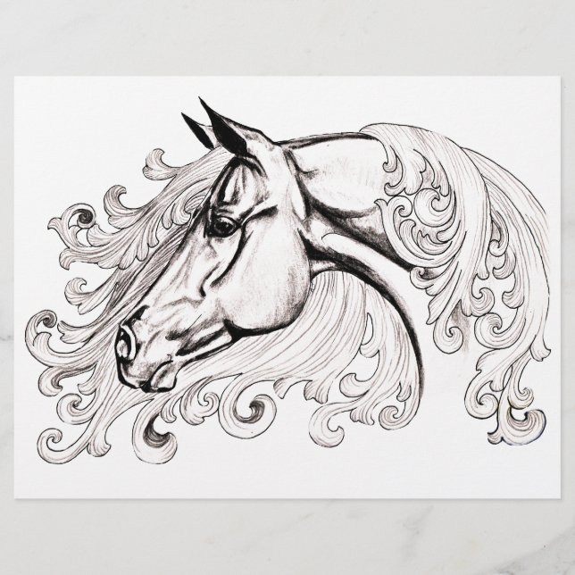 beau cheval (Devant)