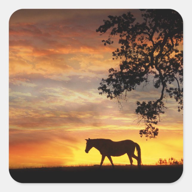 Beau Cheval dans un Stickers Coucher de Soleil Fie (Devant)