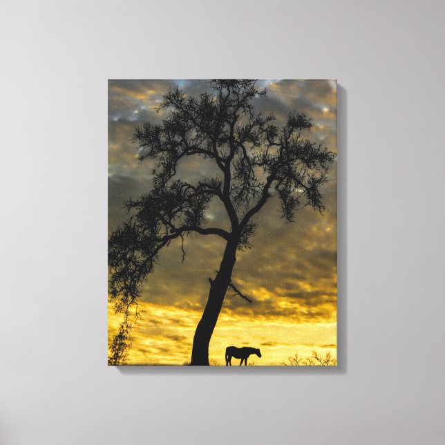 Beau Cheval de Toile et Chêne Arbre avec lever du  (Recto)