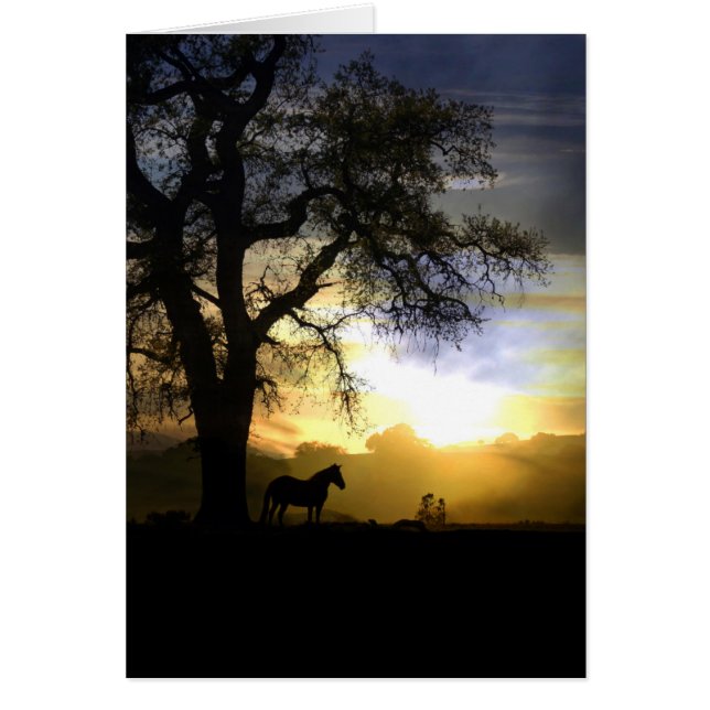 Beau cheval et coucher de soleil Penser à votre ca (Devant)