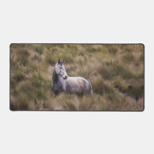 Beau Cheval gris coloré
