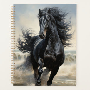 Beau Cheval Noir