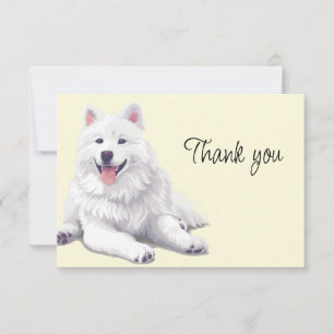 Beau chien blanc Samoyède ou Esquimau Merci