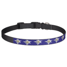 Beau collier d'animal familier d'edelweiss