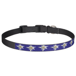 Beau collier d'animal familier d'edelweiss