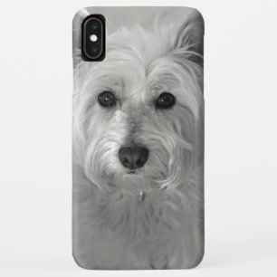 Beau coque iphone de Westie Dog