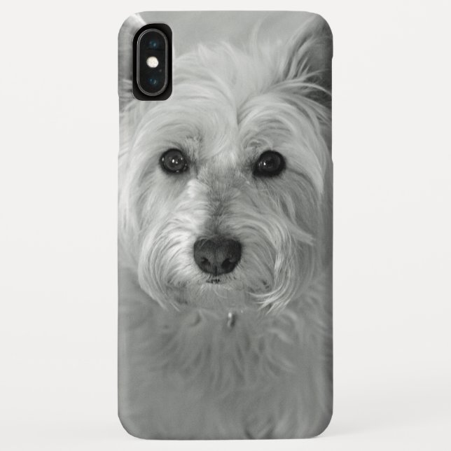 Beau coque iphone de Westie Dog (Dos)