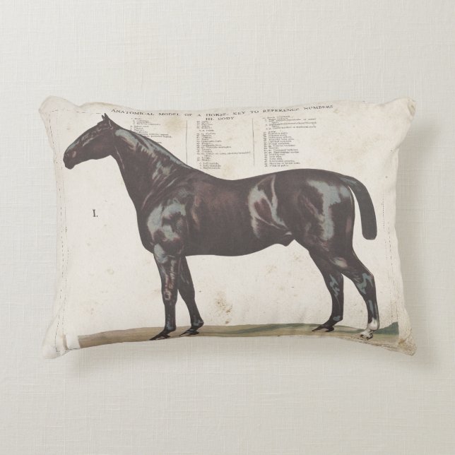 Beau coussin à cheval vintage (Devant)