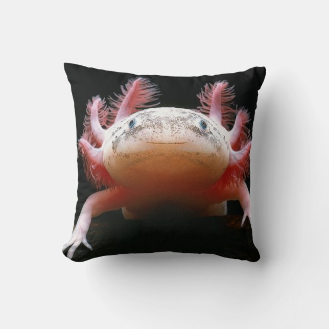 BEAU coussin d'Axolotl gentil à croquer ! ! (Recto)