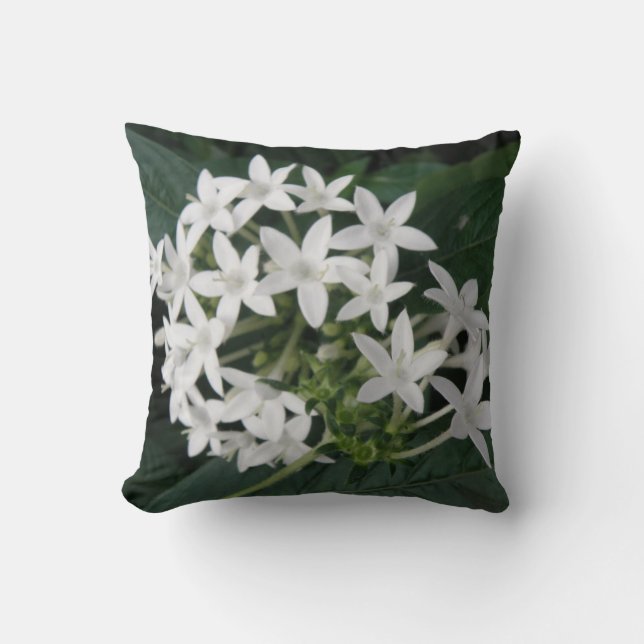Beau Coussin de fleurs tropicales blanches (Recto)